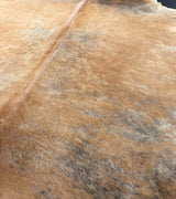 Close-up of brown and gray cowhide fur texture