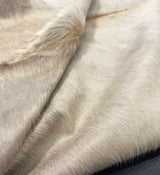 Close-up of a cowhide fur texture with a neutral color palette.