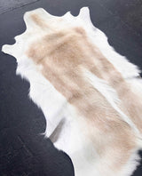 white springbok exotic animal hide