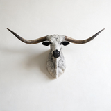 texas longhorn shoulder mount
