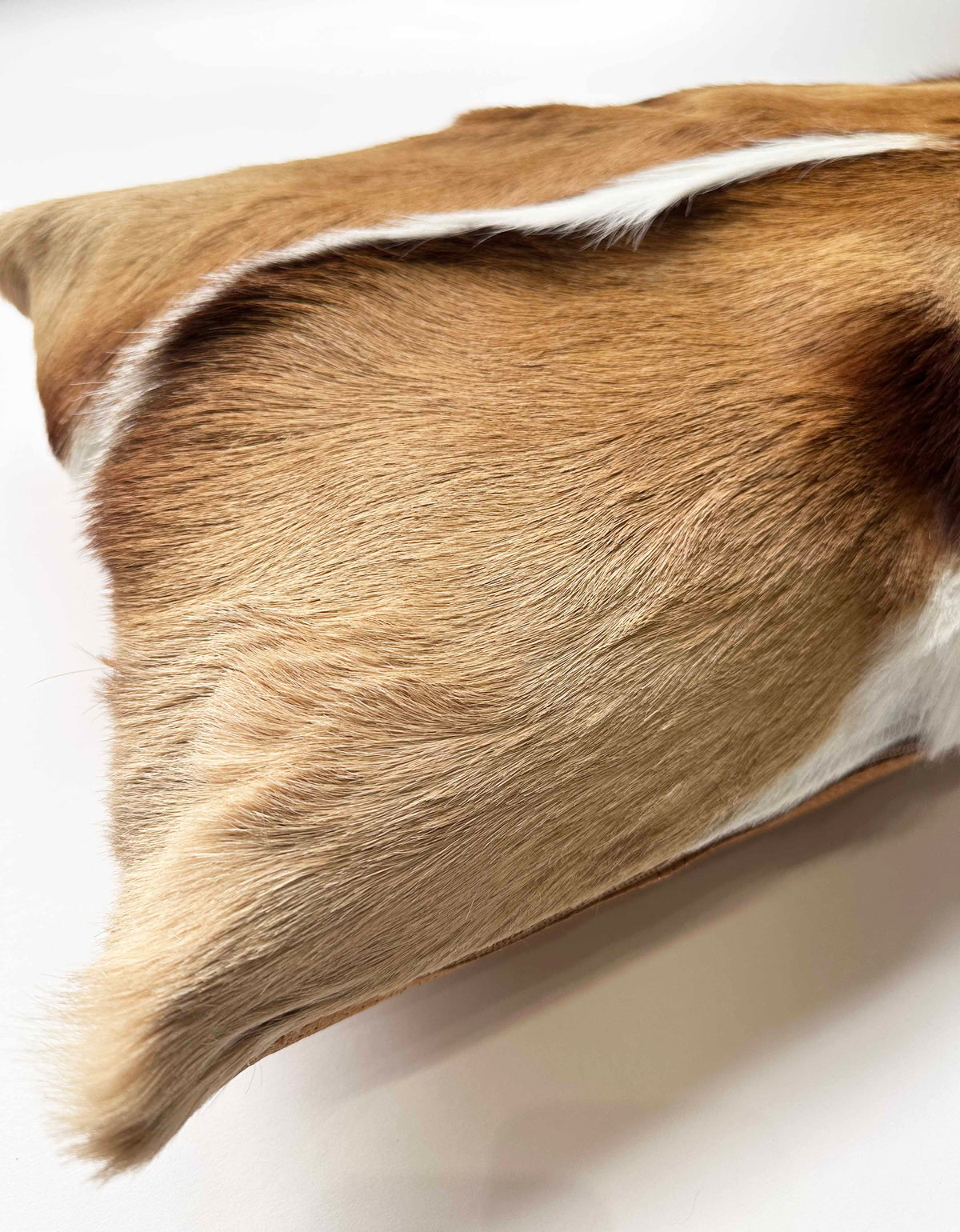 Close-up of genuine springbok hide pillow showing natural tan brown and white markings