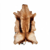 Copper Springbok hide from South Africa with rich caramel and dark brown markings – exact hide 38 inches