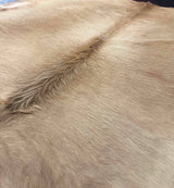 Close-up of light brown cowhide fur texture