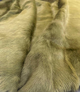 Close-up of green cowhide fur texture