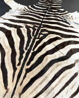 zebra rug