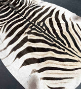 zebra rug