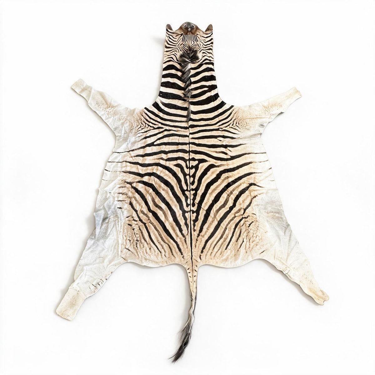 real zebra hide rug
