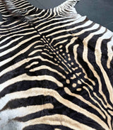 zebra rug