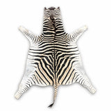 real zebra hide rug
