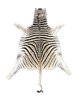 zebra rug