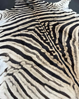 zebra rug