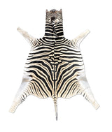 zebra hide rug