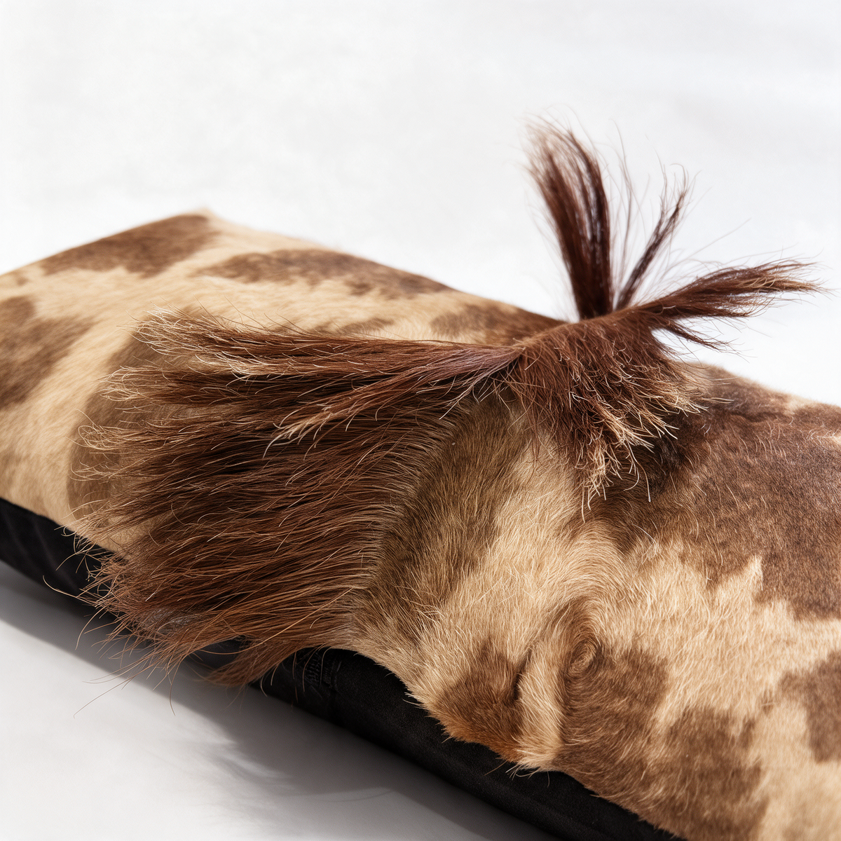 Close-up of natural giraffe mane and caramel brown spotted hide