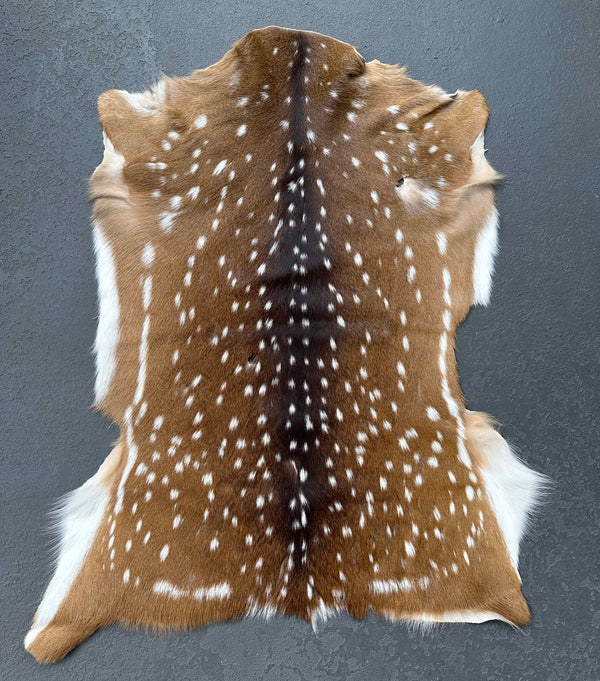 axis deer hide