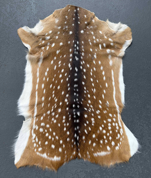 axis deer hide