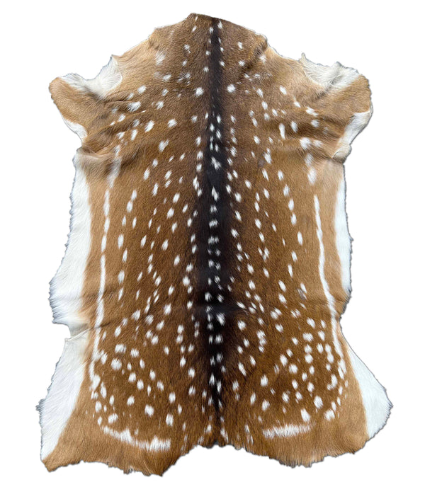 axis deer hide