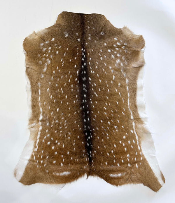 axis deer hide - exotic animal hide