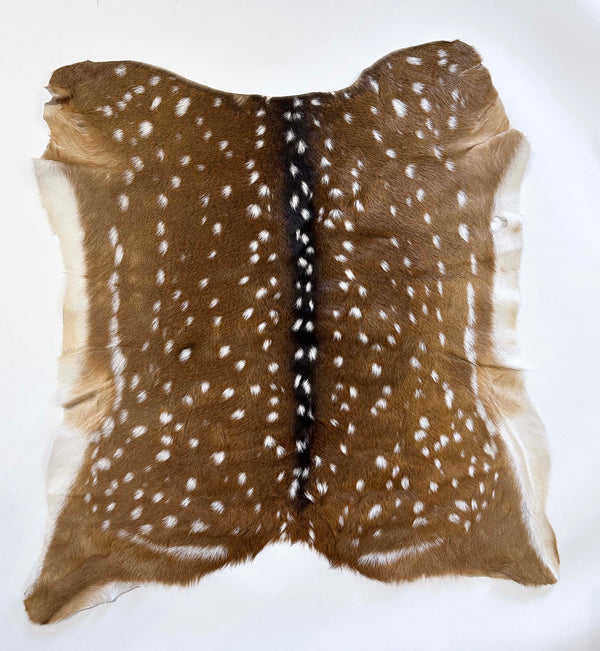 axis deer hide - exotic animal hide