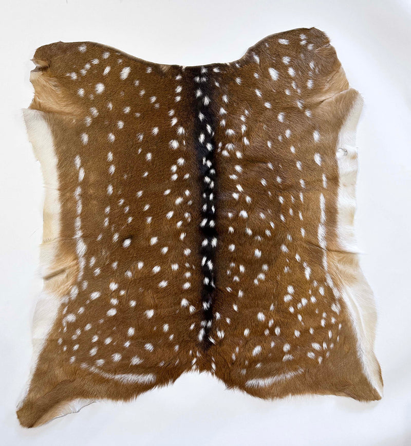 axis deer hide - exotic animal hide