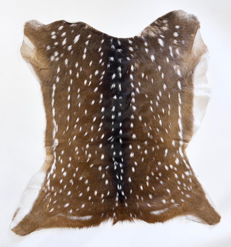 axis deer hide - exotic animal hide