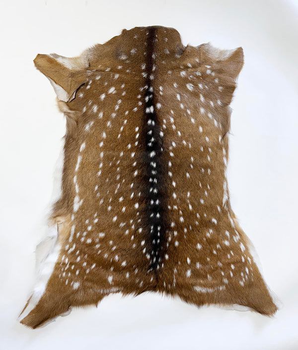 axis deer hide - exotic animal hide
