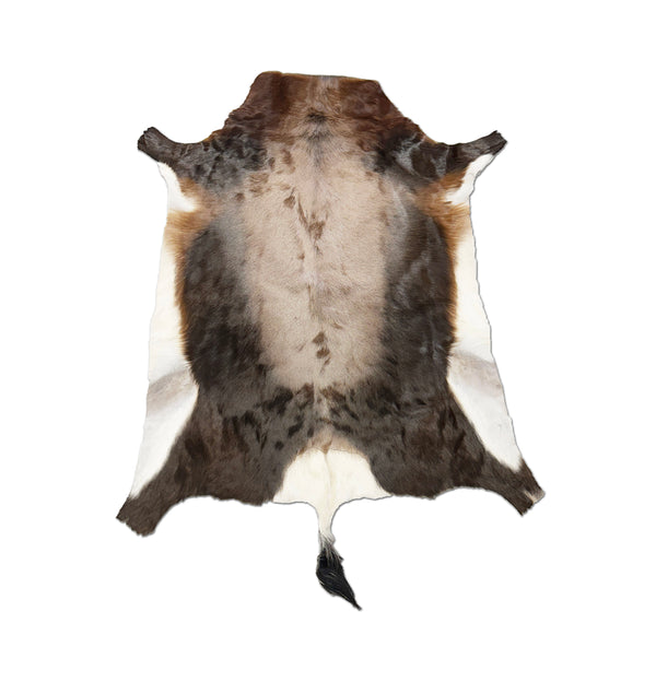 blesbok animal hide