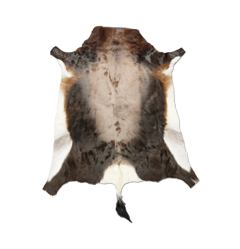 blesbok animal hide