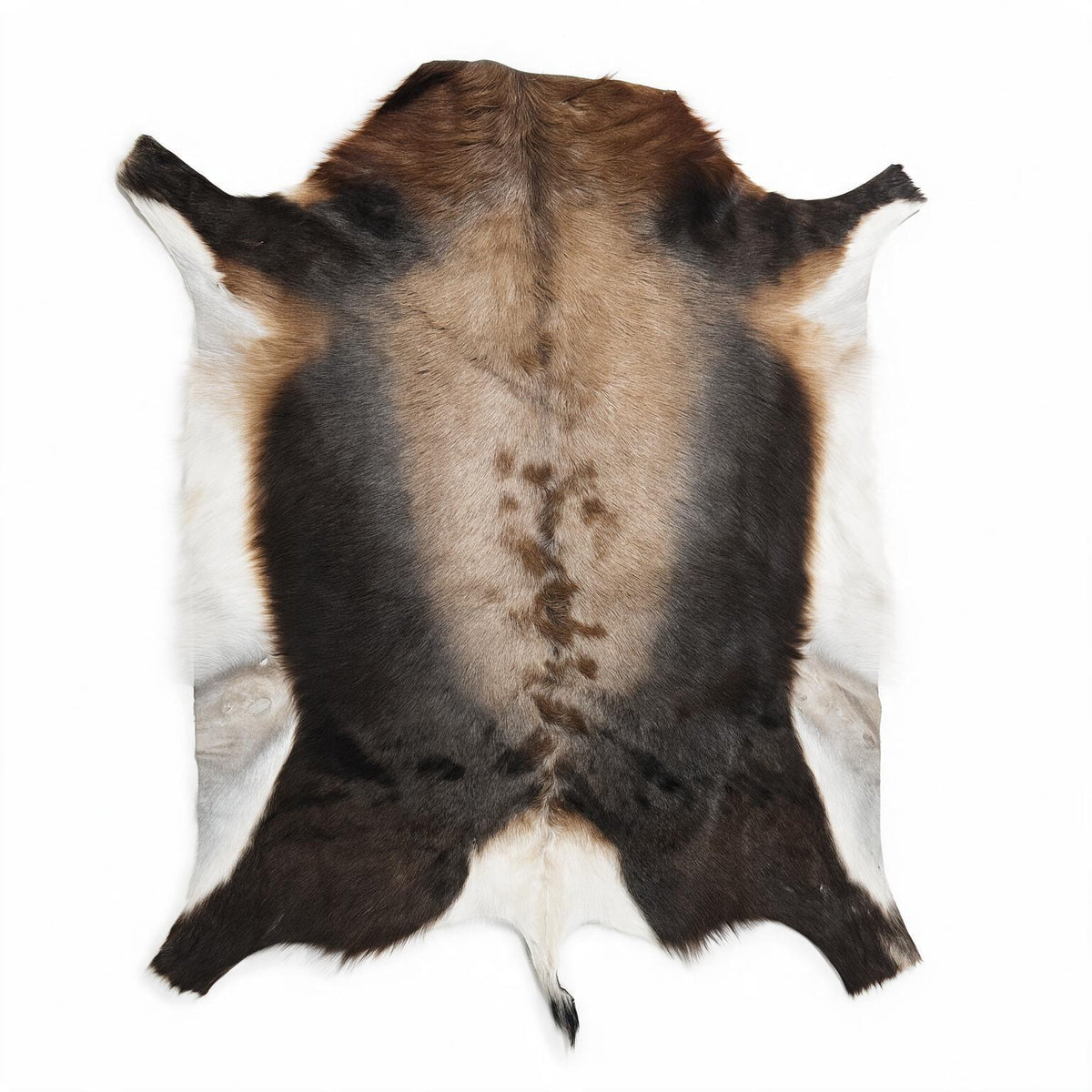 Authentic South African Blesbok hide 01 – 38 inch natural game hide
