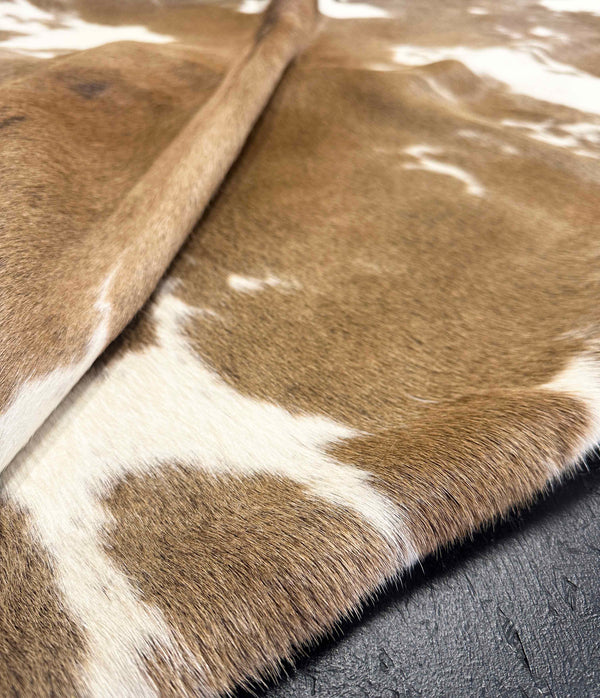 Close-up of brown and white cowhide fur texture on a dark surface
