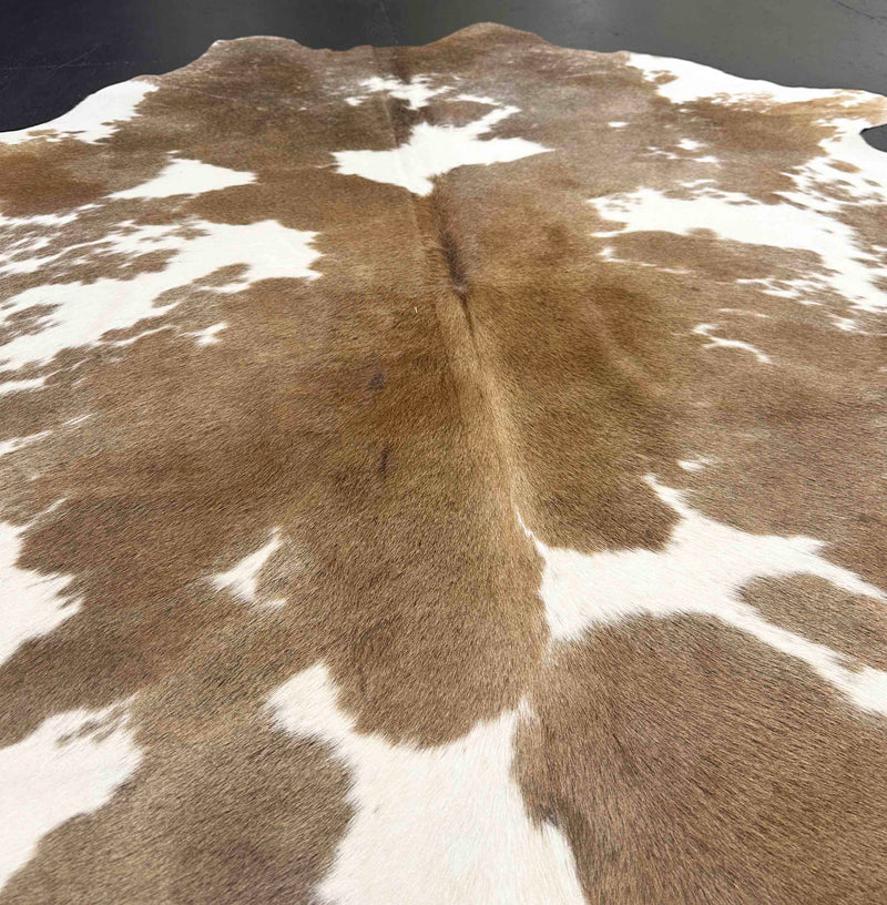 Close-up of a brown and white cowhide rug