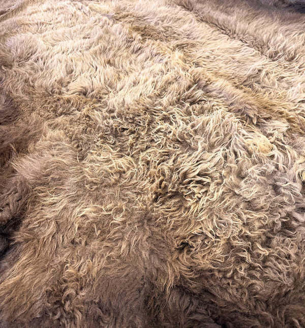 buffalo hide