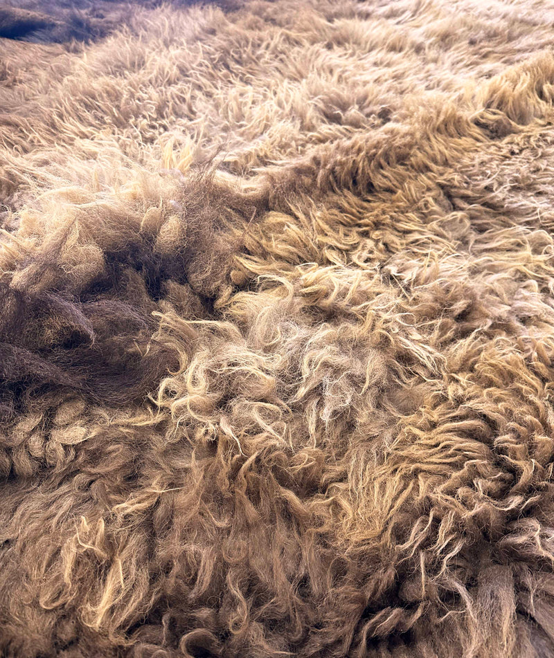 buffalo hide