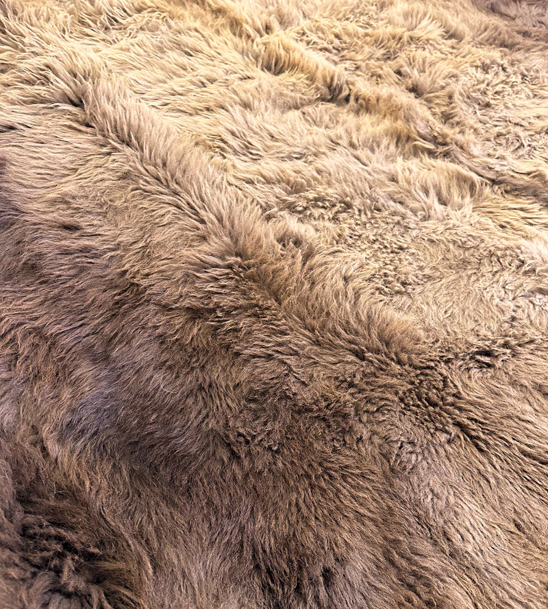 buffalo hide