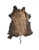buffalo rug