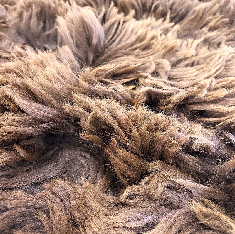 buffalo rug