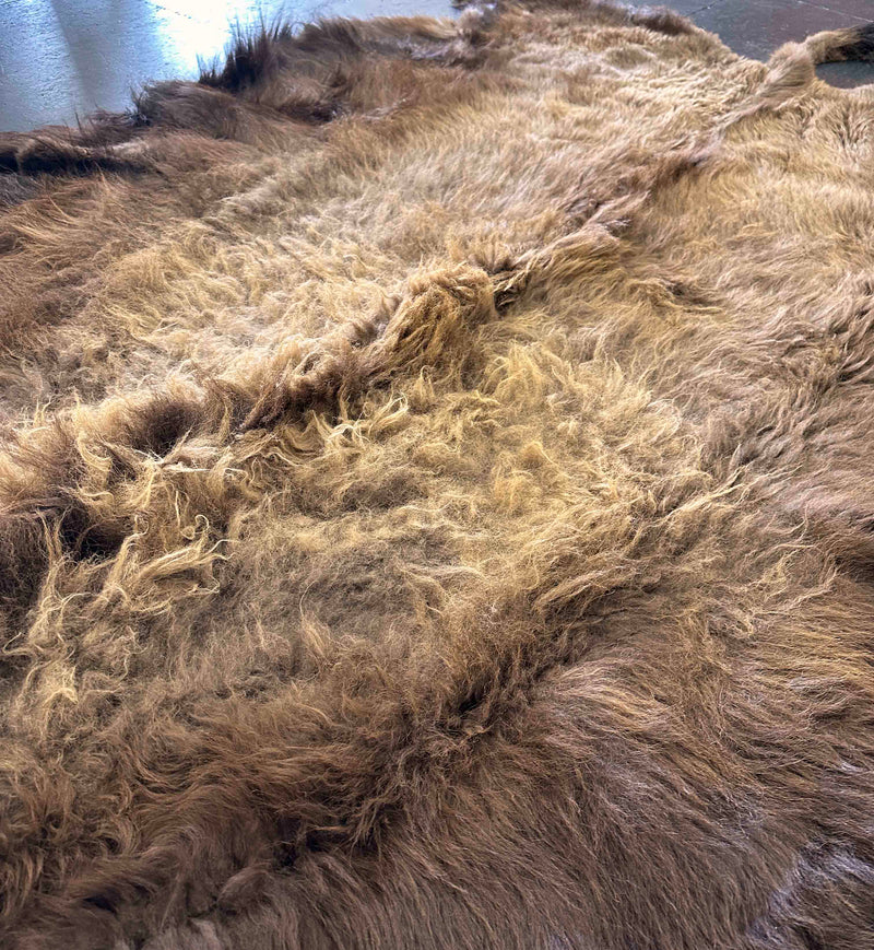 buffalo rug