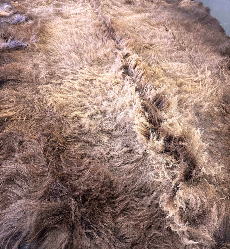 buffalo rug