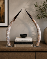 polished cow horn pair