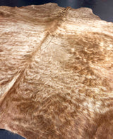 Close-up of a brown fur texture