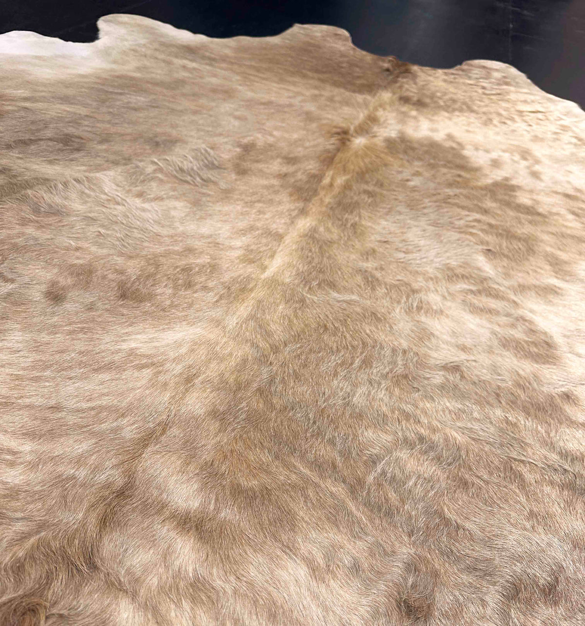 Close-up of a fur texture with a dark background