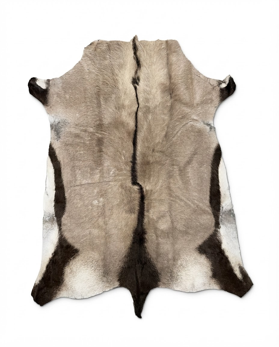 Authentic African gemsbok oryx hide with natural stone-gray, ivory and dark brown markings