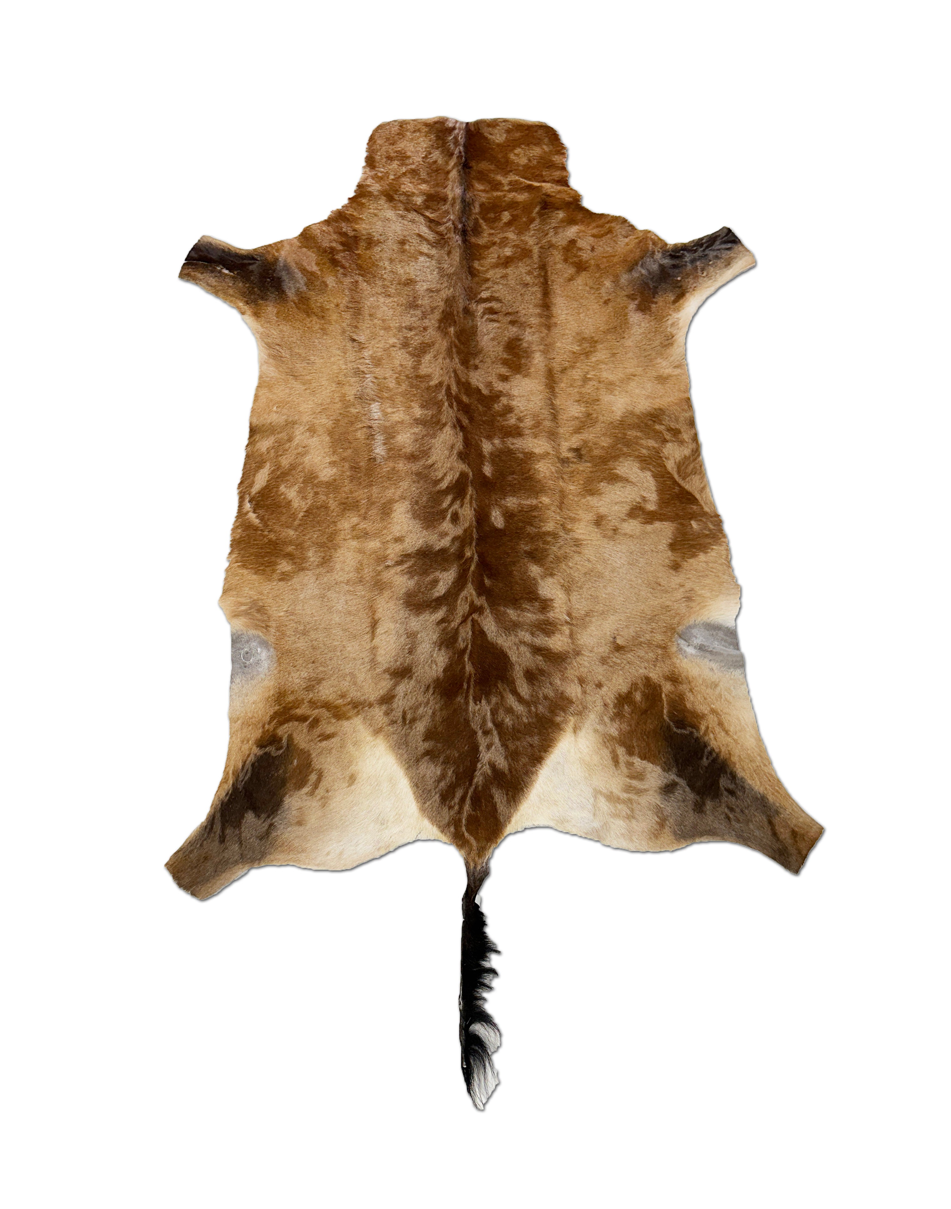 African Hartebeest Animal Hide - Exotic Game Hide – Furug
