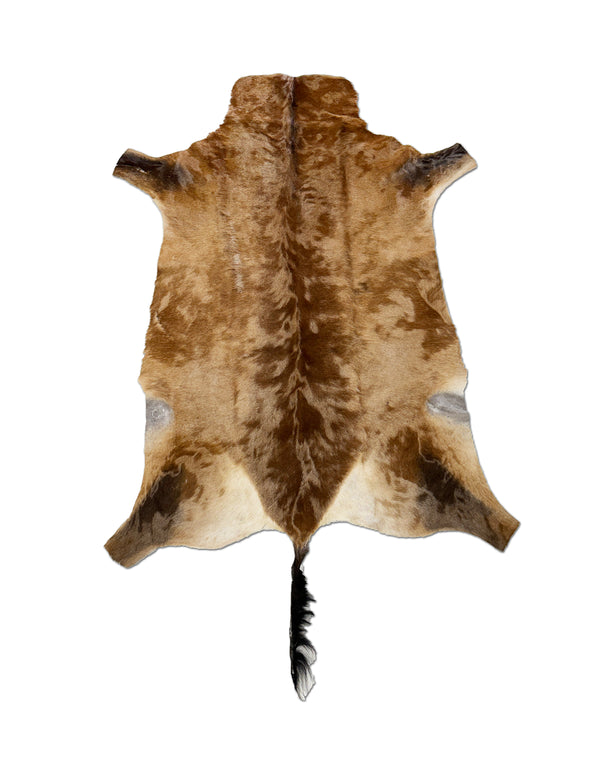 harteneest animal hide
