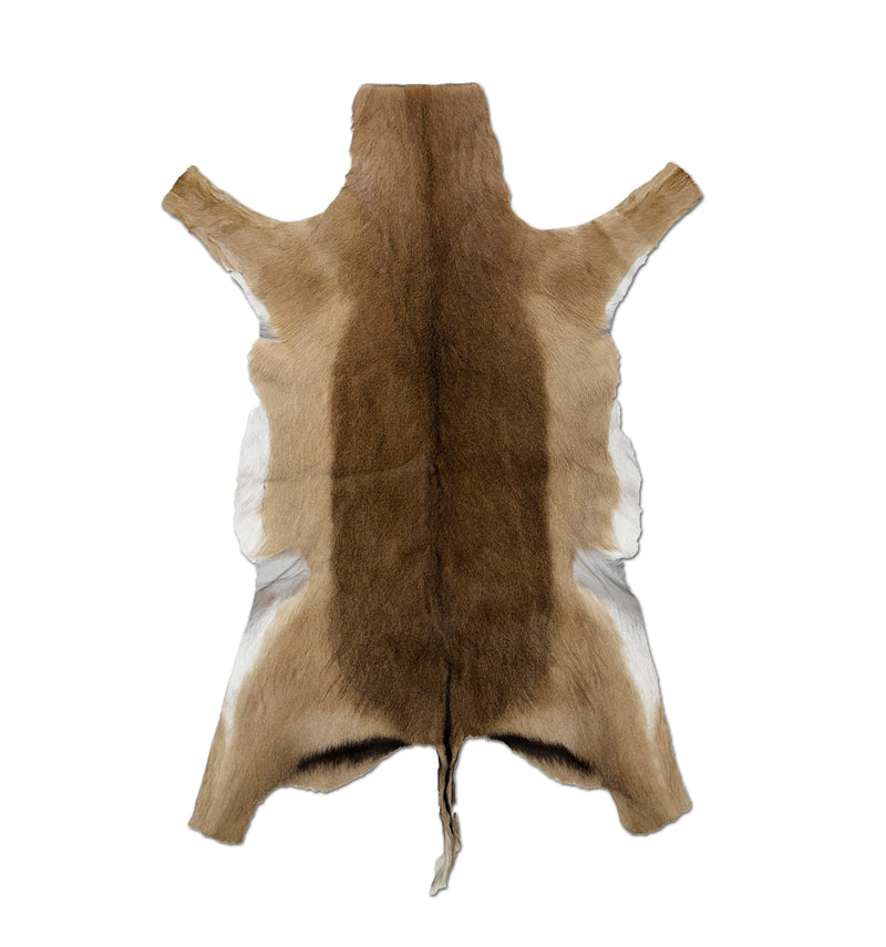 Impala Animal Rug African Impala Animal Hide Rug - Exotic Game Hide – Furug