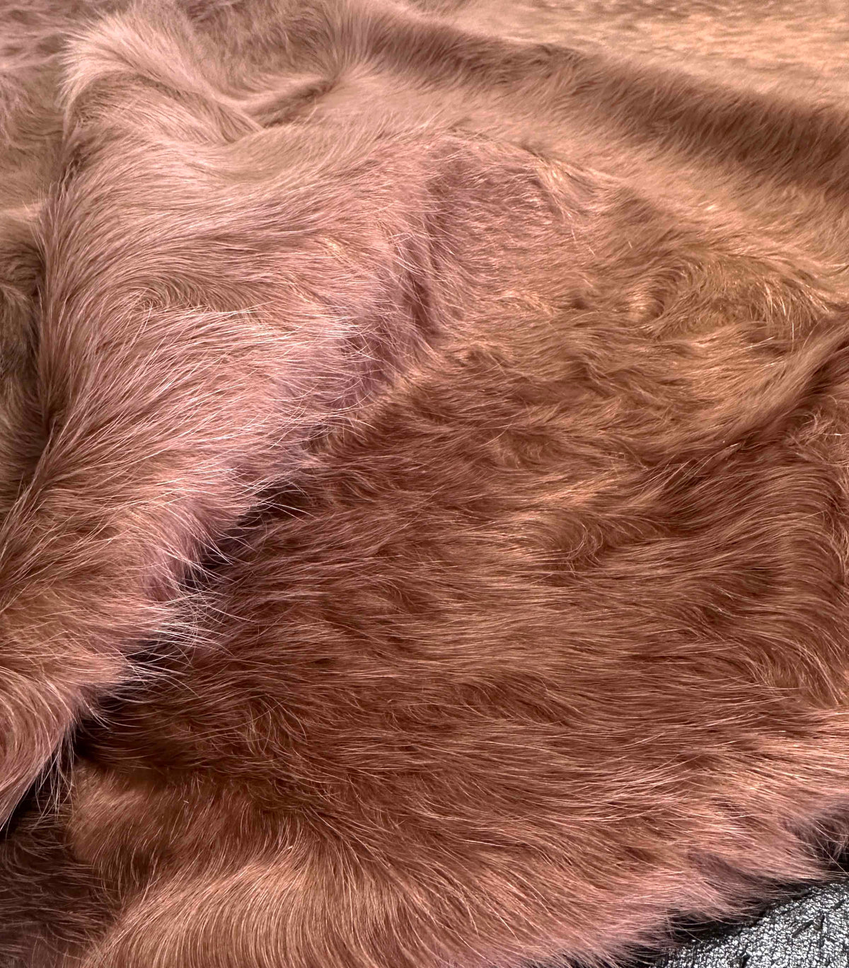 Close-up of rose gold dyed cowhide showing naturally wavy hair and soft blush-copper tonal variation