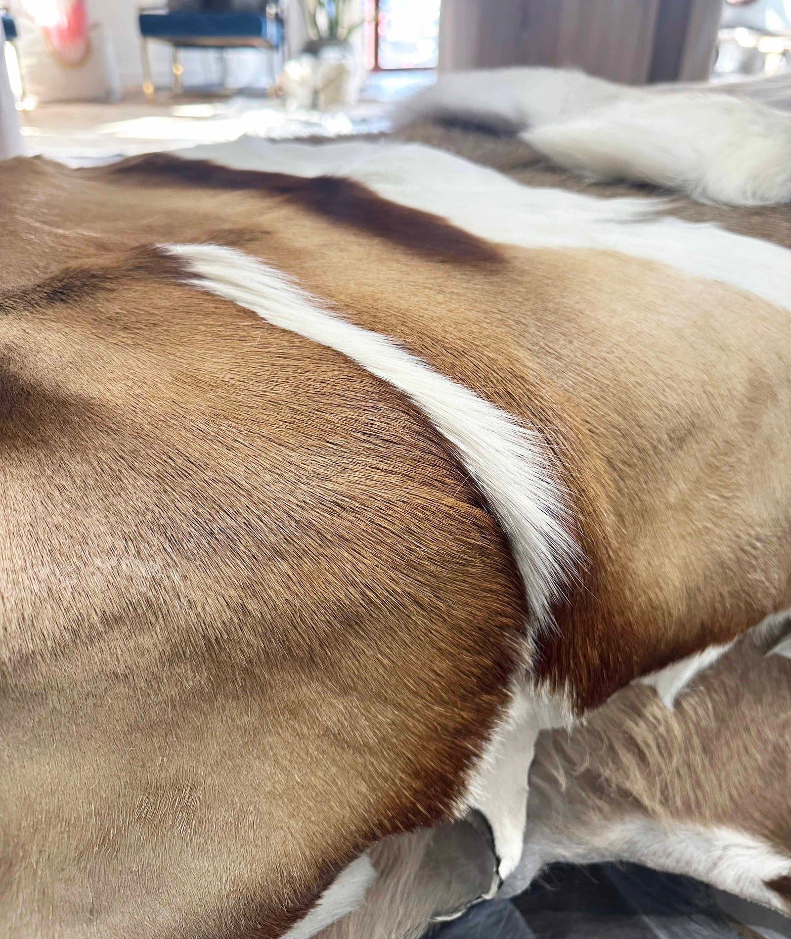 Natural Springbok Hide Real Fur Rug - Animal Hide – Furug