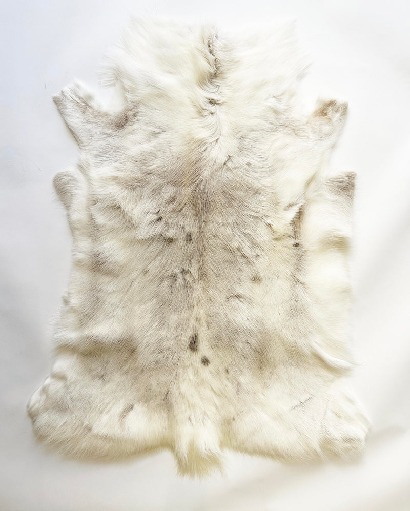 caribou hide