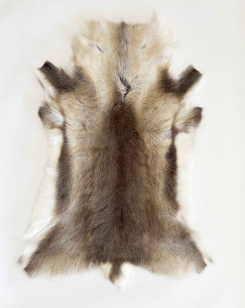 caribou hide