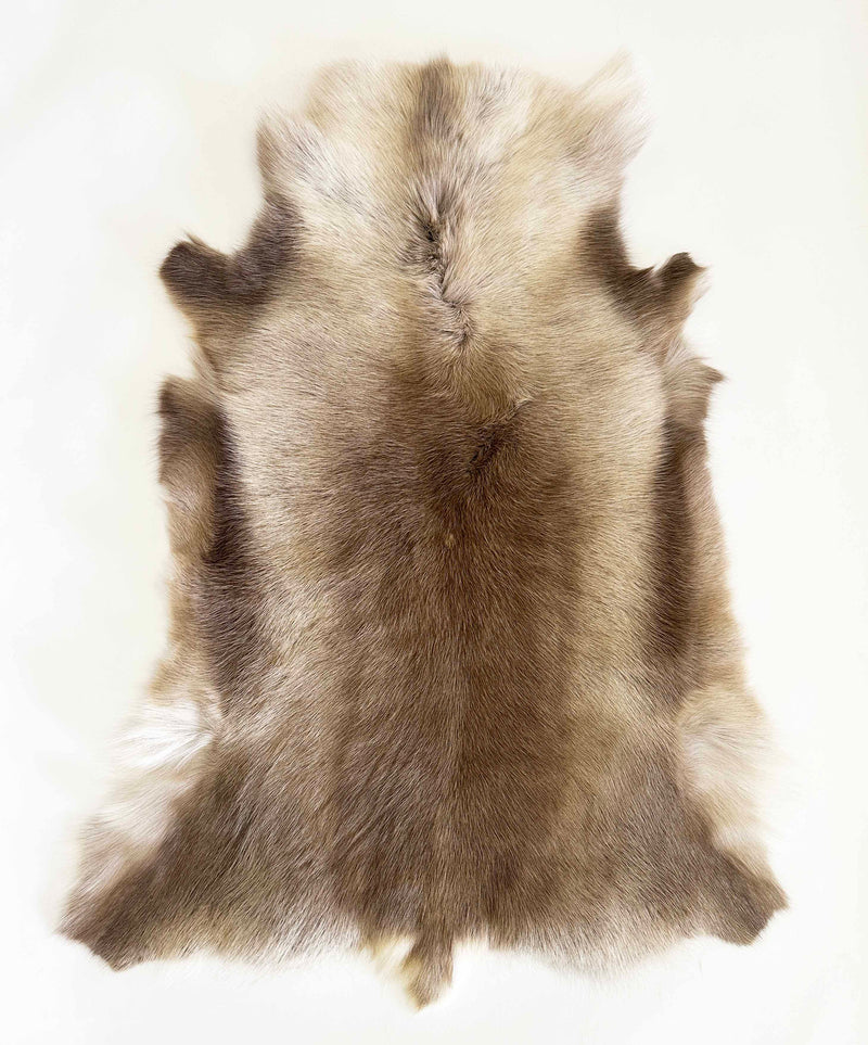 caribou hide