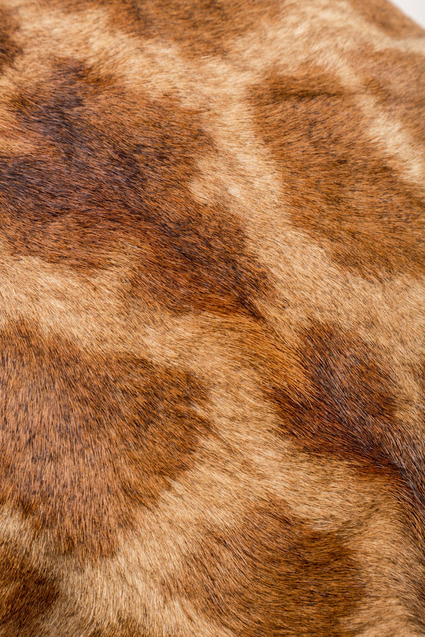 giraffe pillow